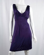 Max&Co. Deep Purple V-Neck Empire Waist Mini Dress